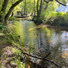 23-09-10 14-34-35 6629